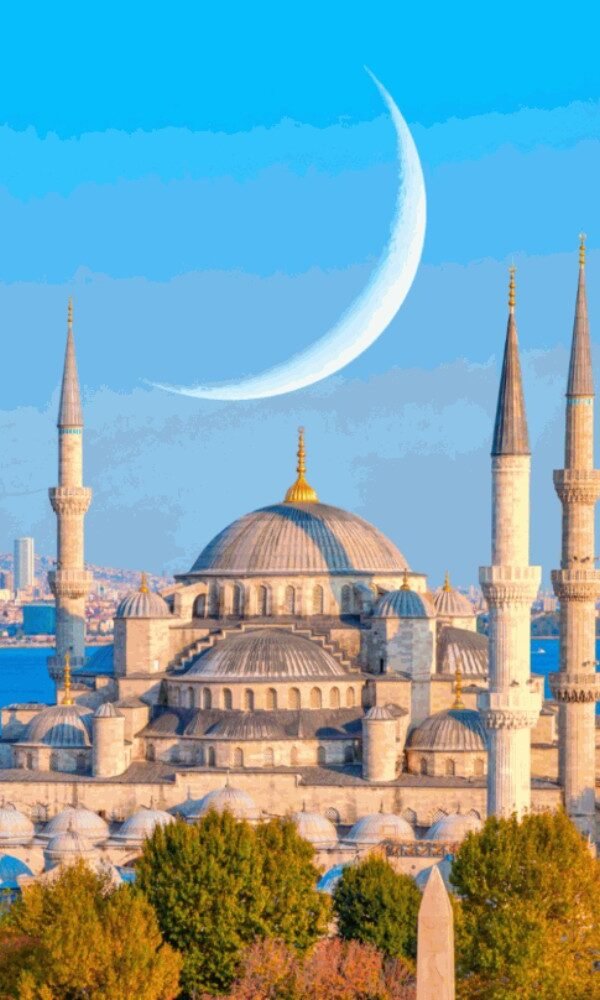 Tripone turkey 600x1000