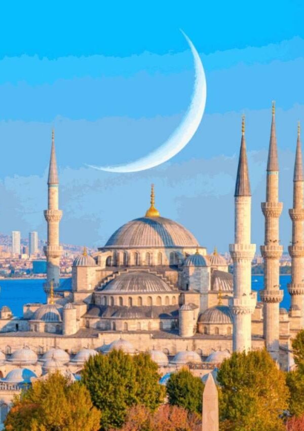 Tripone turkey2 600x850