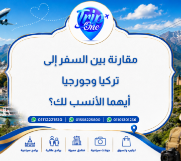 مقارنة بين السفر إلى تركيا وجورجيا: أيهما الأنسب لك؟